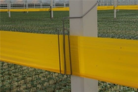 如何固定粘蟲帶支架？